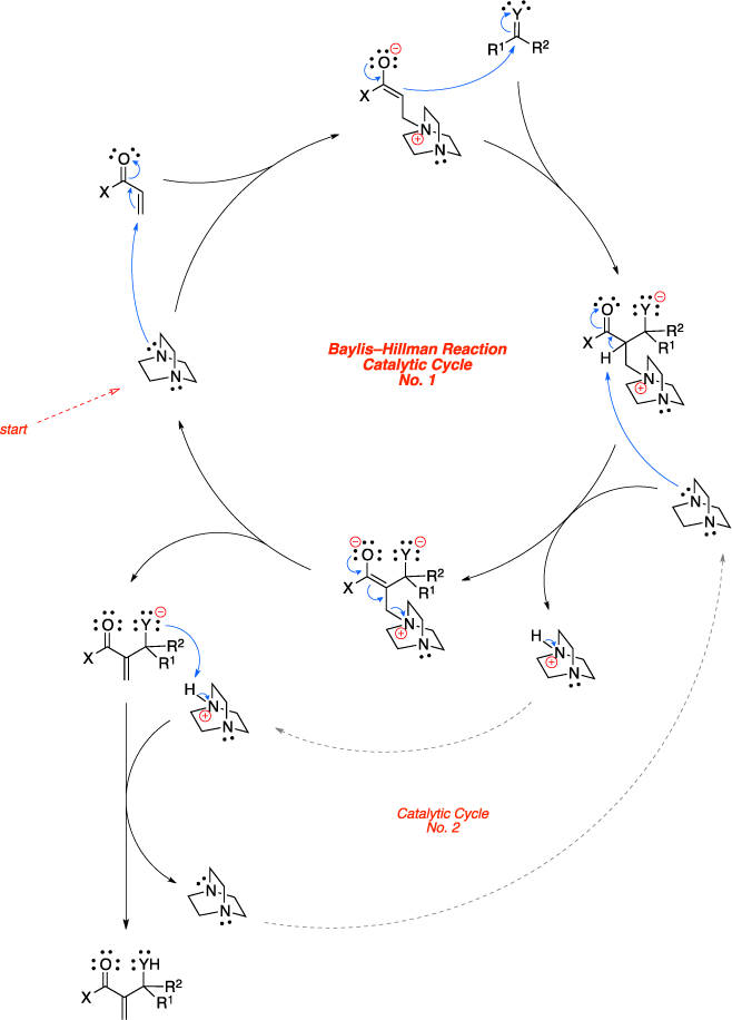 Mechanism of the Baylis-Hillman reaction. Baylis–Hillman Reaction Catalytic Cycle.