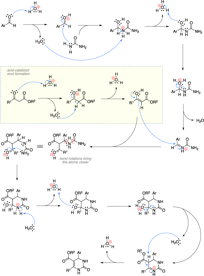 biginelli reaction research paper