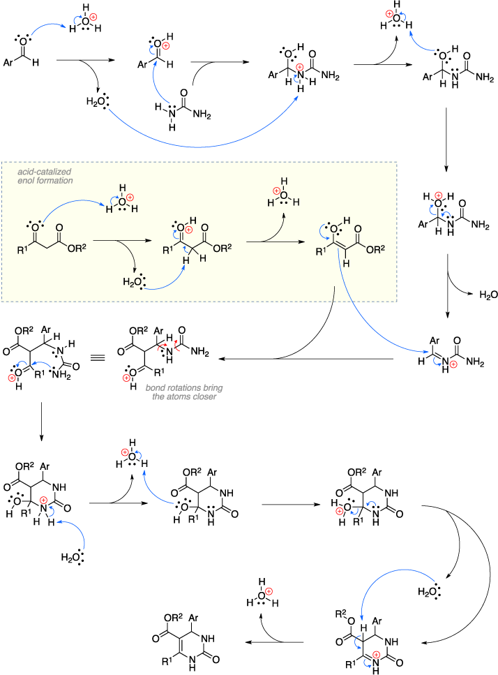 Mechanism of the Biginelli reaction. Acid-catalized enol formation.