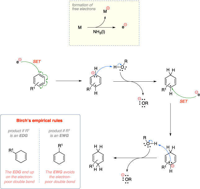 Mechanism of the Birch reduction. Formation of free electrons. Birch’s empirical rules: The EDG end up on the electron-poor double bond while The EWG avoids the electron-poor double bond.