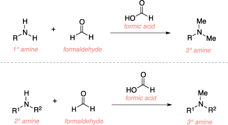 Schematic of the Eschweiler-Clarke reaction. Reagents: primary or secondary amine, formaldehyde, formic acid. Product: tertiary amine.