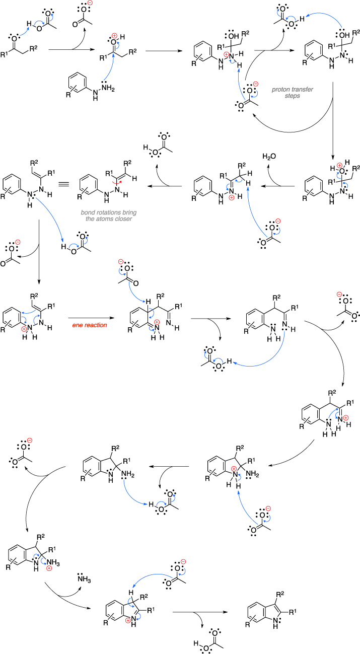 Mechanism of the Fischer indole synthesis.