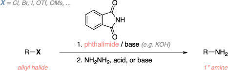 Schematic of the Gabriel synthesis. Reagents: alkyl halide, phthalimide, base, acid, hydrazine. Product: primary amine.