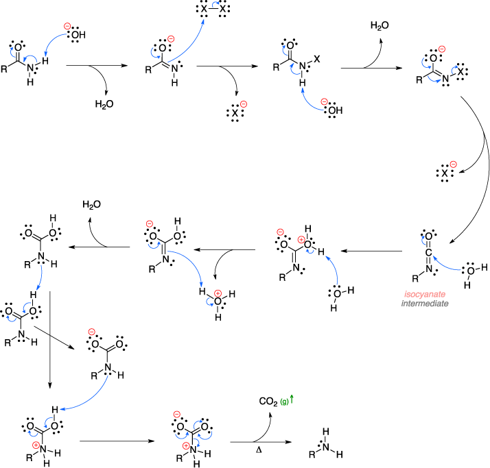 Mechanism of the Hofmann rearrangement. Isocyanate intermediate.