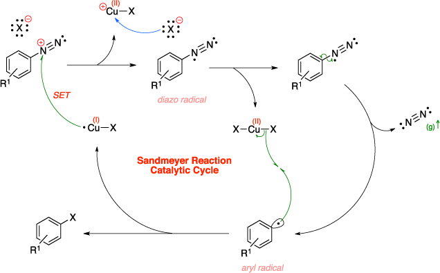 Mechanism of the Sandmeyer reaction. Sandmeyer Reaction Catalytic Cycle steps include a single electron transfer (SET), diazonium radical formation, and aryl radical formation.