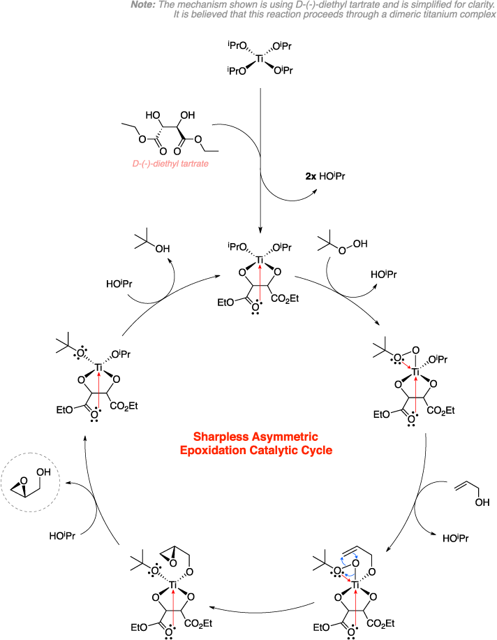 Mechanism of the Sharpless epoxidation. Sharpless Asymmetric Epoxidation Catalytic Cycle. Note: The mechanism shown is using D-(-)-diethyl tartrate and is simplified for clarity. It is believed that this reaction proceeds through a dimeric titanium complex. 