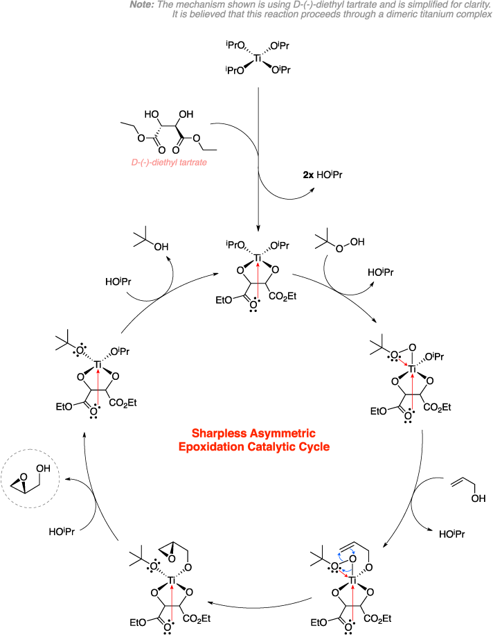 Mechanism of the Sharpless epoxidation. Sharpless Asymmetric Epoxidation Catalytic Cycle. Note: The mechanism shown is using D-(-)-diethyl tartrate and is simplified for clarity. It is believed that this reaction proceeds through a dimeric titanium complex.