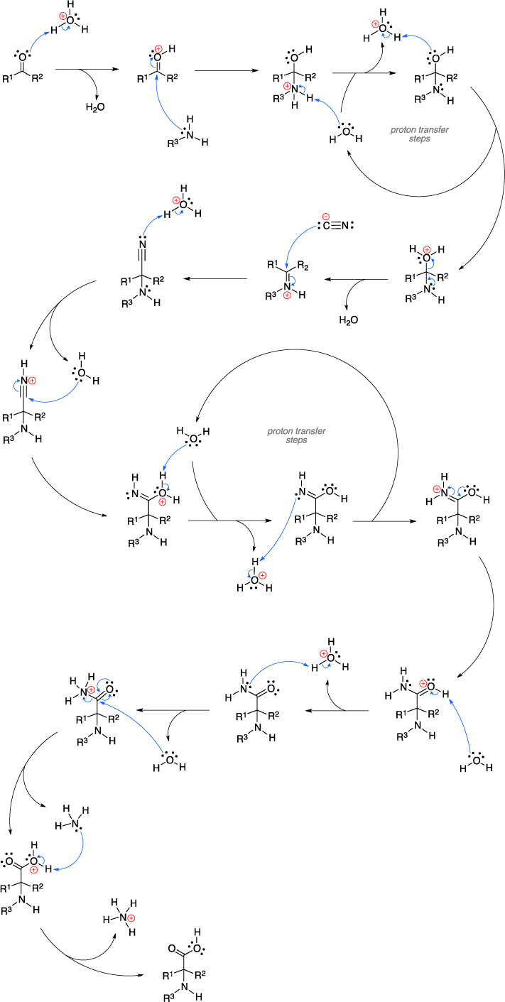 Mechanism of the Strecker amino acid synthesis.