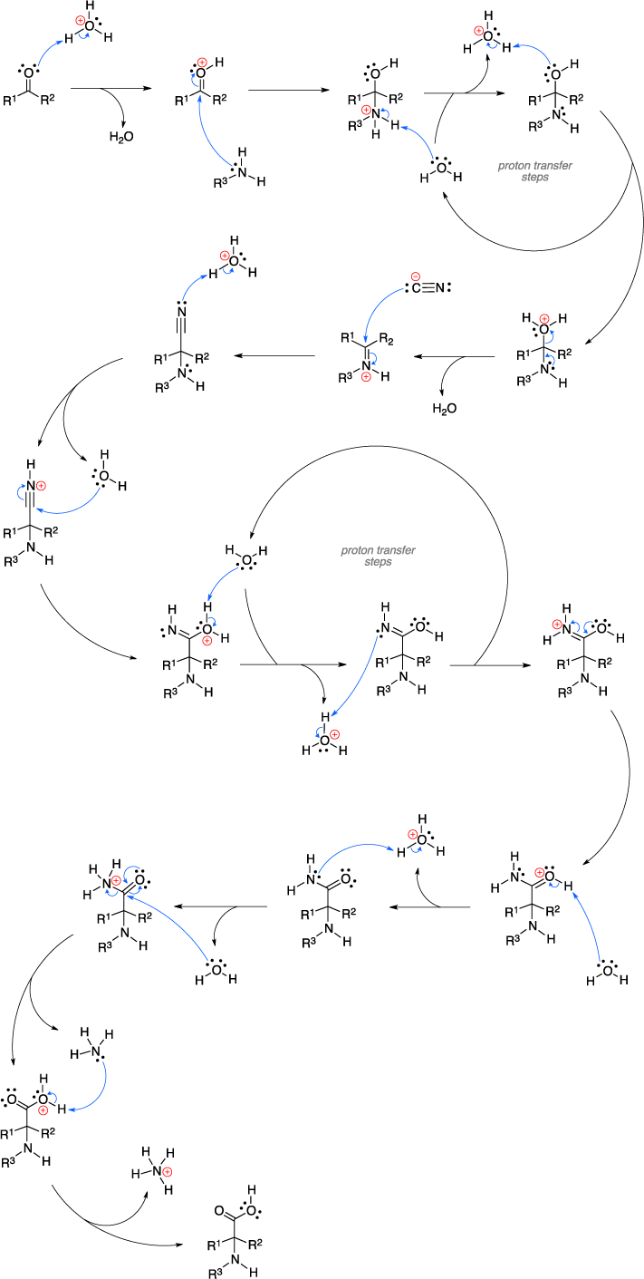 amino acid racemization dating technique