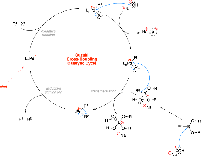 Suzuki Cross coupling Name Reaction
